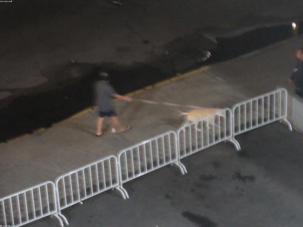 វិធីលេងហ្គេមសម្រាប់អ្នកដំបូង